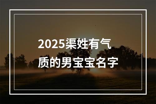 2025渠姓有气质的男宝宝名字