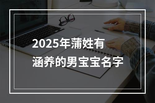 2025年蒲姓有涵养的男宝宝名字