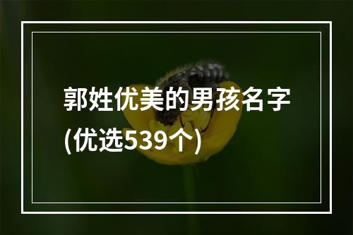 郭姓优美的男孩名字(优选539个)