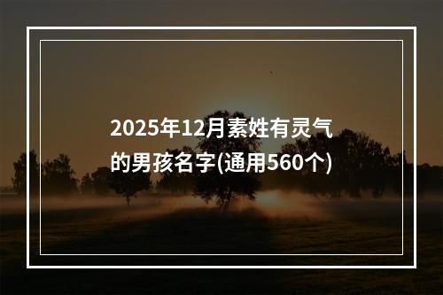 2025年12月素姓有灵气的男孩名字(通用560个)