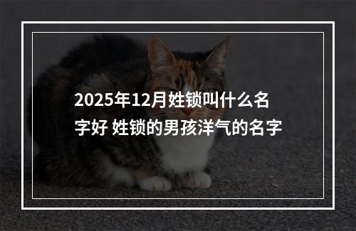 2025年12月姓锁叫什么名字好 姓锁的男孩洋气的名字