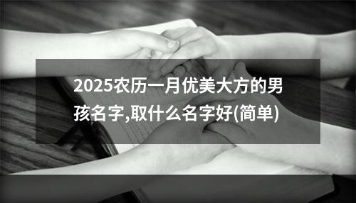 2025农历一月优美大方的男孩名字,取什么名字好(简单)