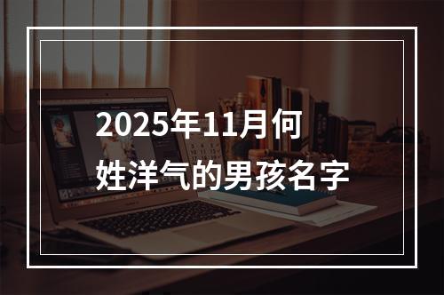 2025年11月何姓洋气的男孩名字