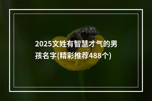 2025文姓有智慧才气的男孩名字(精彩推荐488个)