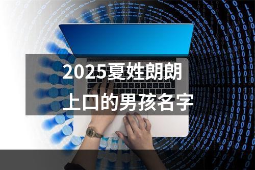 2025夏姓朗朗上口的男孩名字