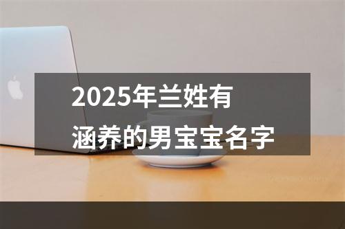 2025年兰姓有涵养的男宝宝名字