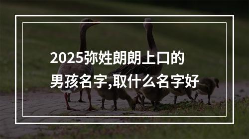 2025弥姓朗朗上口的男孩名字,取什么名字好
