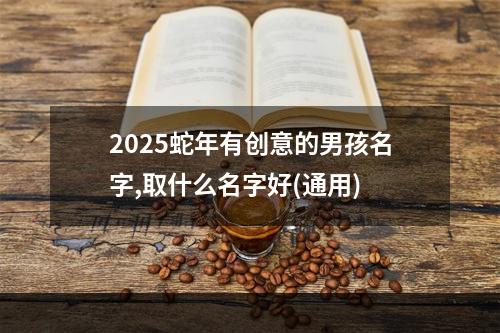 2025蛇年有创意的男孩名字,取什么名字好(通用)