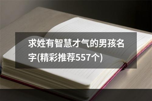 求姓有智慧才气的男孩名字(精彩推荐557个)