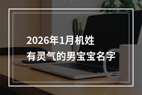 2026年1月机姓有灵气的男宝宝名字