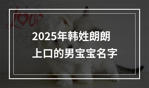 2025年韩姓朗朗上口的男宝宝名字