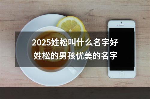 2025姓松叫什么名字好 姓松的男孩优美的名字