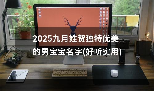 2025九月姓贺独特优美的男宝宝名字(好听实用)