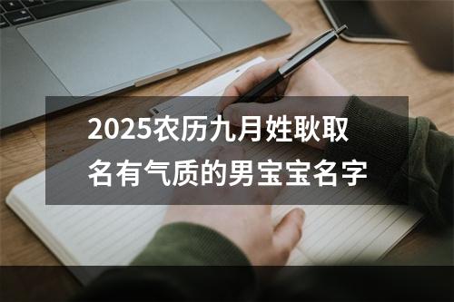 2025农历九月姓耿取名有气质的男宝宝名字