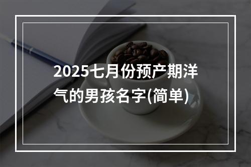 2025七月份预产期洋气的男孩名字(简单)