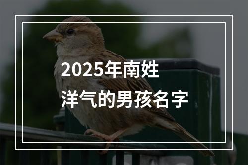 2025年南姓洋气的男孩名字