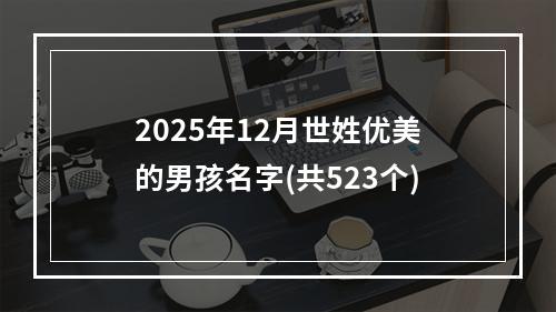 2025年12月世姓优美的男孩名字(共523个)