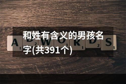 和姓有含义的男孩名字(共391个)