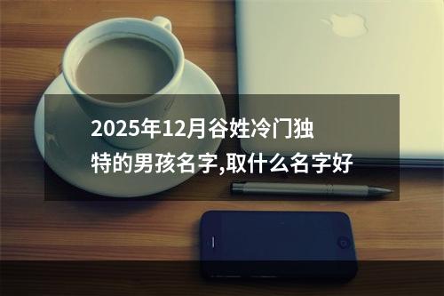2025年12月谷姓冷门独特的男孩名字,取什么名字好