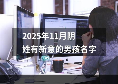 2025年11月阴姓有新意的男孩名字
