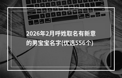 2026年2月呼姓取名有新意的男宝宝名字(优选556个)
