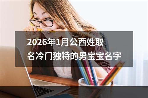2026年1月公西姓取名冷门独特的男宝宝名字