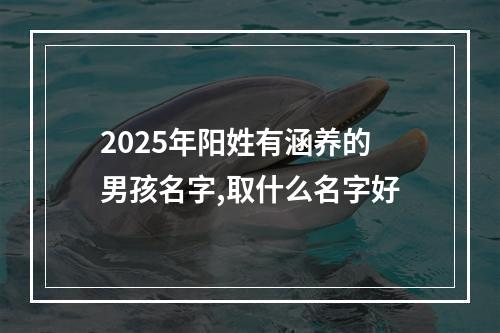 2025年阳姓有涵养的男孩名字,取什么名字好