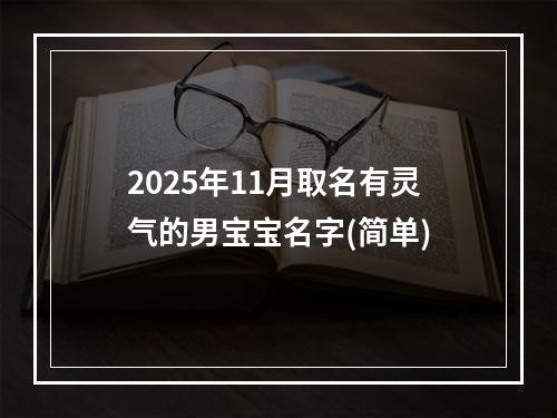 2025年11月取名有灵气的男宝宝名字(简单)