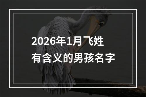 2026年1月飞姓有含义的男孩名字