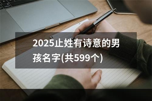 2025止姓有诗意的男孩名字(共599个)