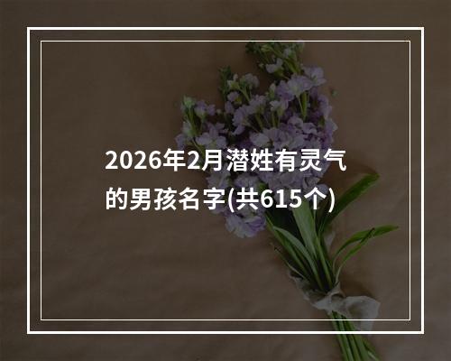 2026年2月潜姓有灵气的男孩名字(共615个)