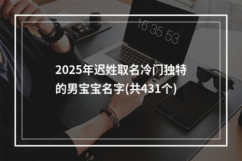 2025年迟姓取名冷门独特的男宝宝名字(共431个)