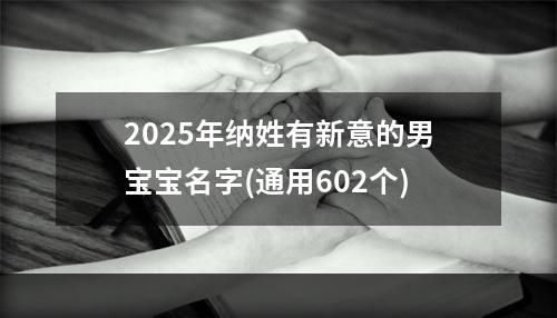2025年纳姓有新意的男宝宝名字(通用602个)