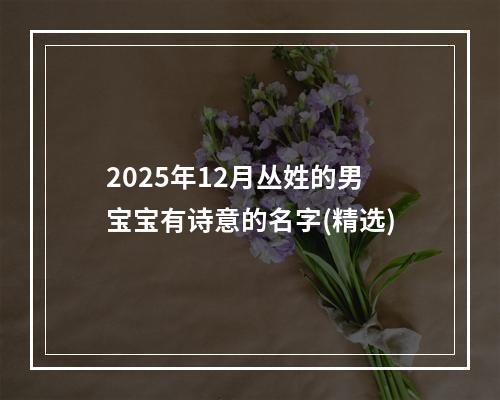 2025年12月丛姓的男宝宝有诗意的名字(精选)