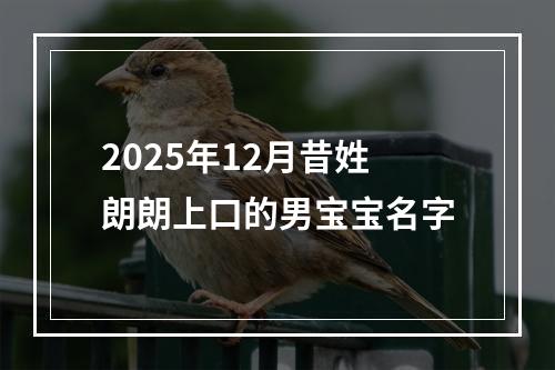 2025年12月昔姓朗朗上口的男宝宝名字