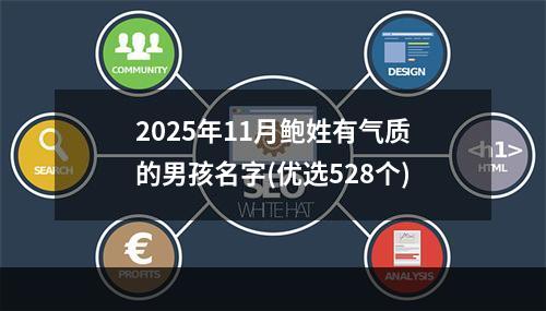2025年11月鲍姓有气质的男孩名字(优选528个)
