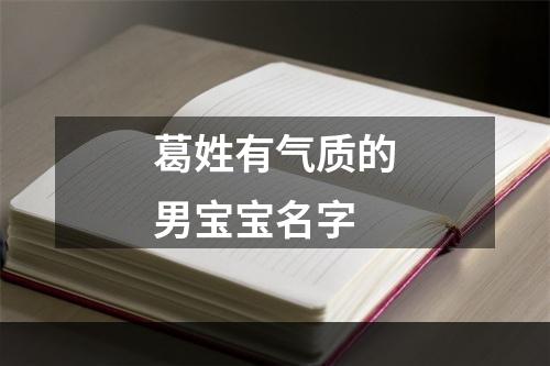葛姓有气质的男宝宝名字