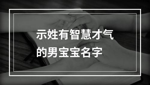 示姓有智慧才气的男宝宝名字