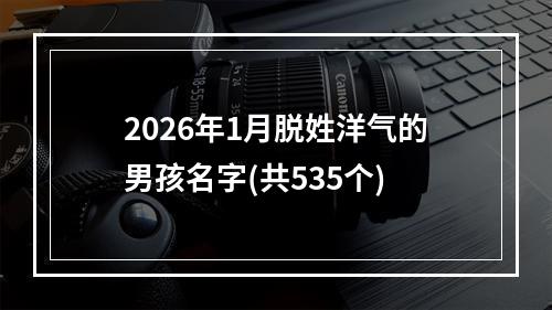 2026年1月脱姓洋气的男孩名字(共535个)