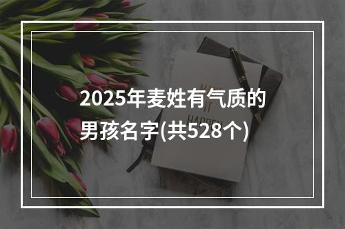 2025年麦姓有气质的男孩名字(共528个)