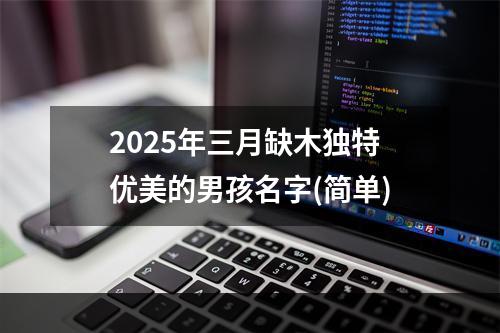 2025年三月缺木独特优美的男孩名字(简单)