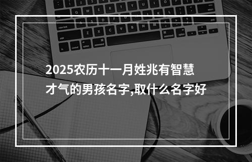 2025农历十一月姓兆有智慧才气的男孩名字,取什么名字好