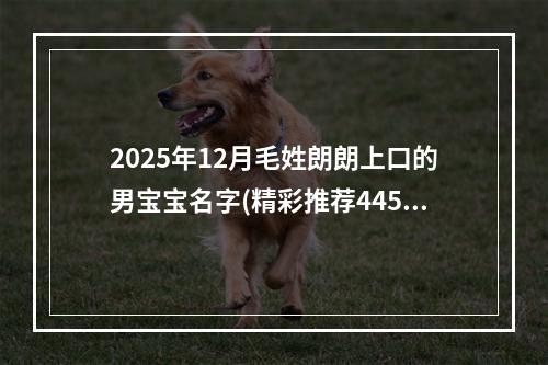 2025年12月毛姓朗朗上口的男宝宝名字(精彩推荐445个)