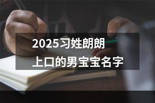 2025习姓朗朗上口的男宝宝名字