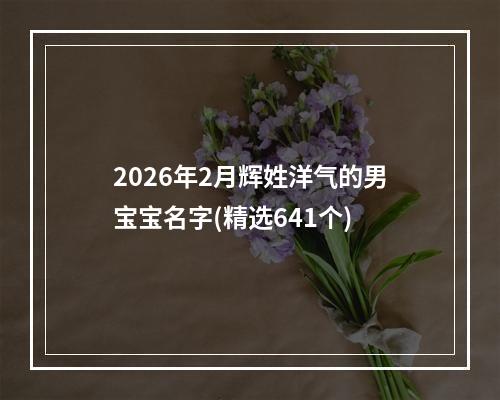 2026年2月辉姓洋气的男宝宝名字(精选641个)