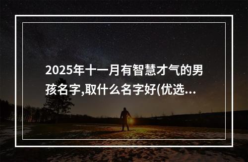 2025年十一月有智慧才气的男孩名字,取什么名字好(优选)