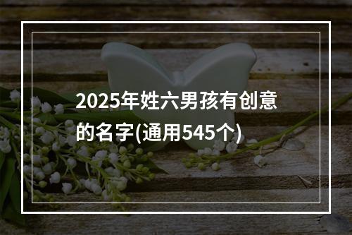 2025年姓六男孩有创意的名字(通用545个)
