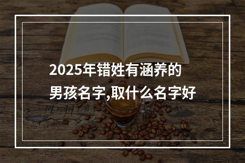 2025年错姓有涵养的男孩名字,取什么名字好