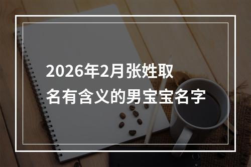 2026年2月张姓取名有含义的男宝宝名字