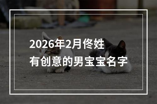 2026年2月佟姓有创意的男宝宝名字